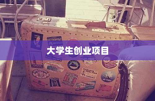 大学生创业项目