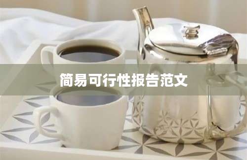 简易可行性报告范文