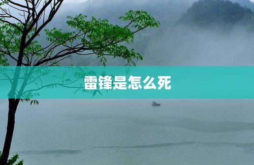 雷锋是怎么死