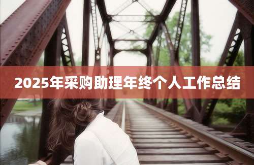 2025年采购助理年终个人工作总结