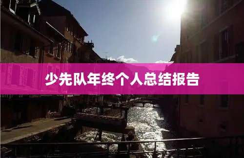 少先队年终个人总结报告