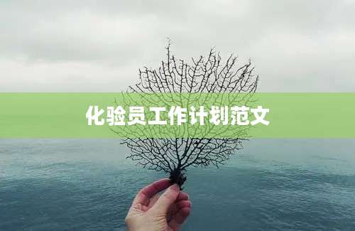 化验员工作计划范文