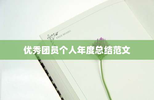 优秀团员个人年度总结范文