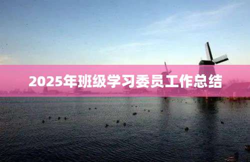 2025年班级学习委员工作总结