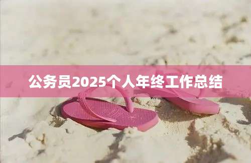 公务员2025个人年终工作总结