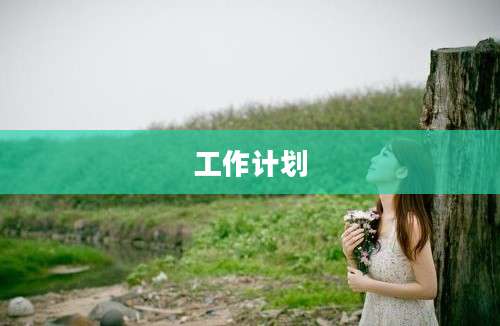 工作计划