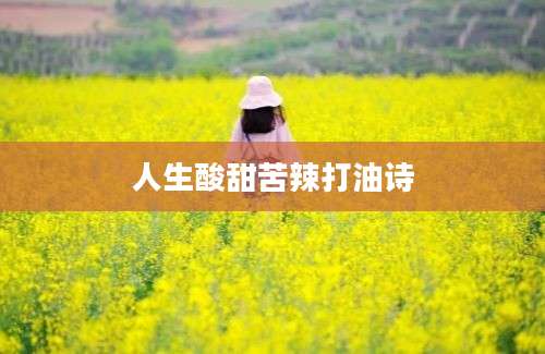 人生酸甜苦辣打油诗