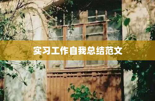 实习工作自我总结范文