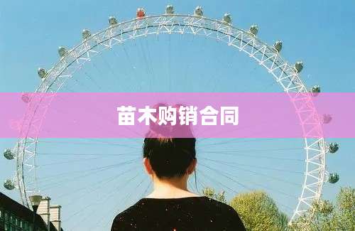 苗木购销合同