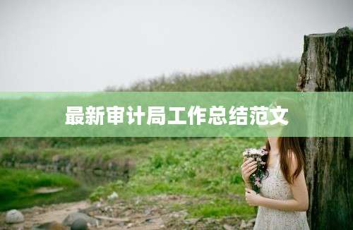 最新审计局工作总结范文