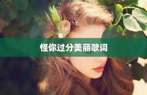 怪你过分美丽歌词