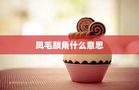 凤毛麟角什么意思