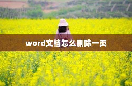 word文档怎么删除一页