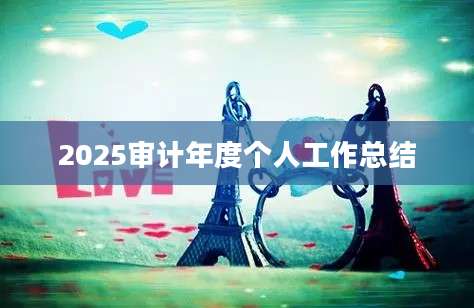 2025审计年度个人工作总结