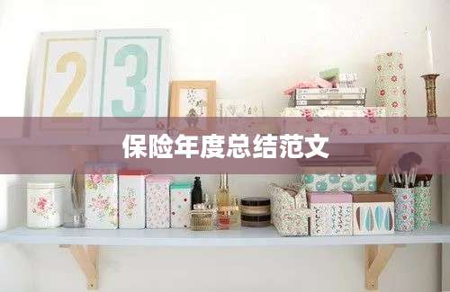 保险年度总结范文