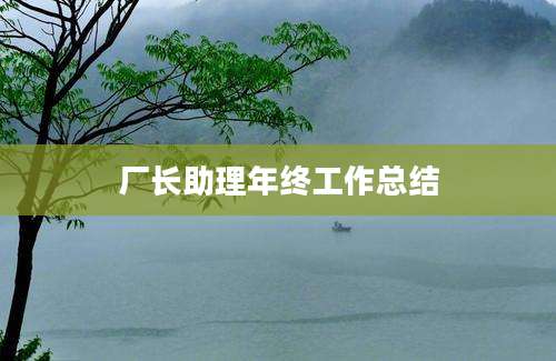 厂长助理年终工作总结