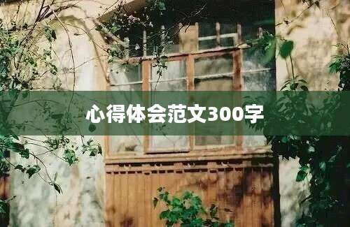 心得体会范文300字