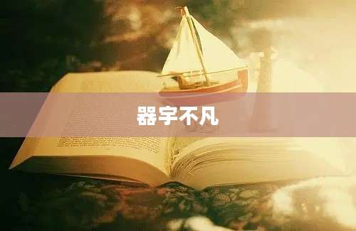 器宇不凡