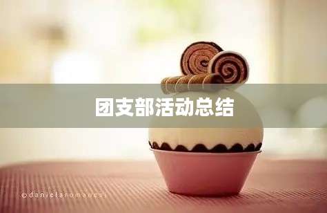团支部活动总结