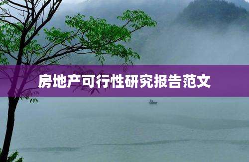 房地产可行性研究报告范文