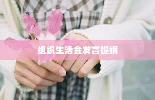 组织生活会发言提纲