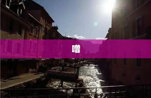 噌