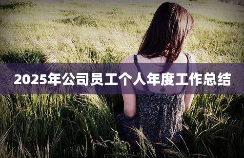 2025年公司员工个人年度工作总结