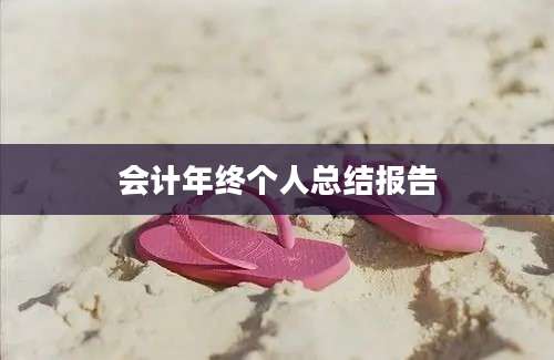 会计年终个人总结报告