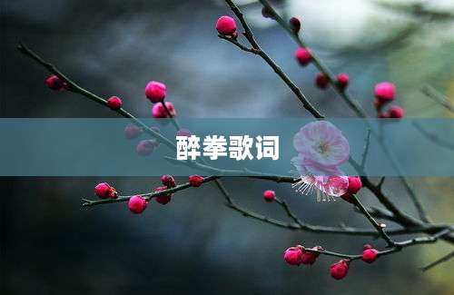 醉拳歌词
