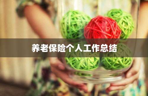 养老保险个人工作总结