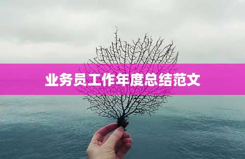 业务员工作年度总结范文