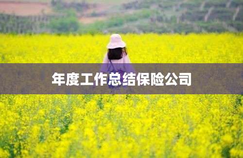 年度工作总结保险公司