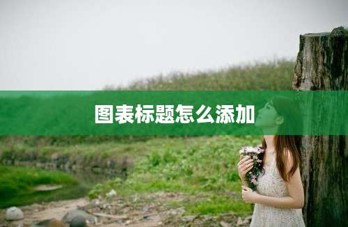 图表标题怎么添加