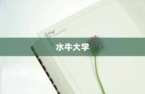 水牛大学