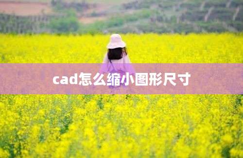 cad怎么缩小图形尺寸