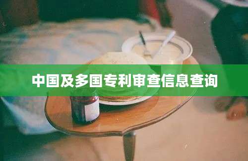 中国及多国专利审查信息查询