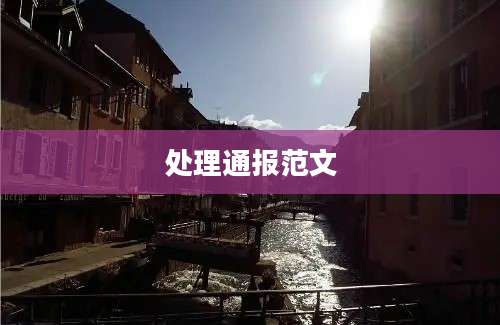 处理通报范文