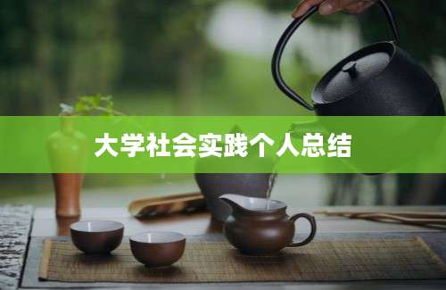 大学社会实践个人总结