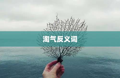 淘气反义词