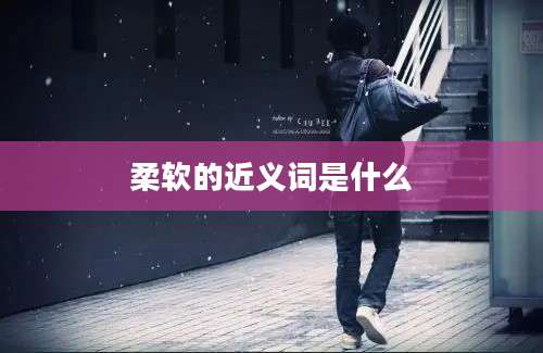 柔软的近义词是什么