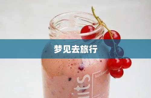 梦见去旅行