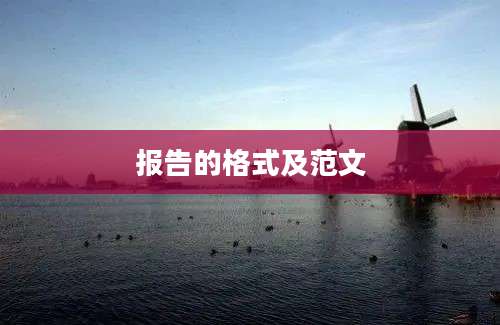 报告的格式及范文