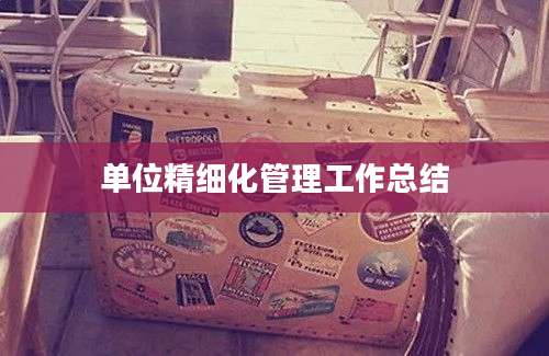 单位精细化管理工作总结