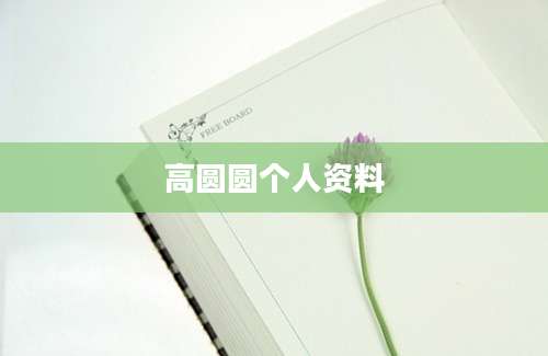 高圆圆个人资料