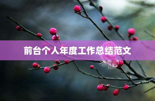 前台个人年度工作总结范文