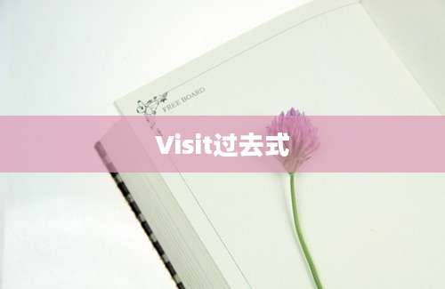 Visit过去式