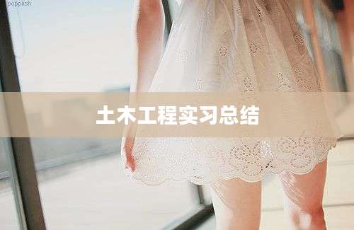 土木工程实习总结