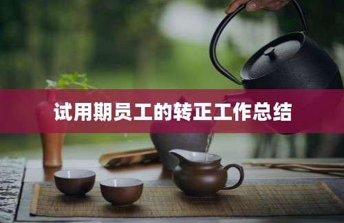 试用期员工的转正工作总结