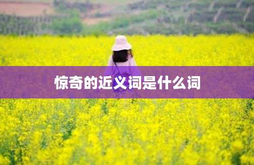 惊奇的近义词是什么词