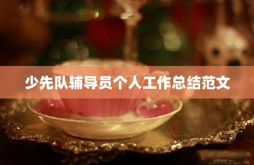 少先队辅导员个人工作总结范文